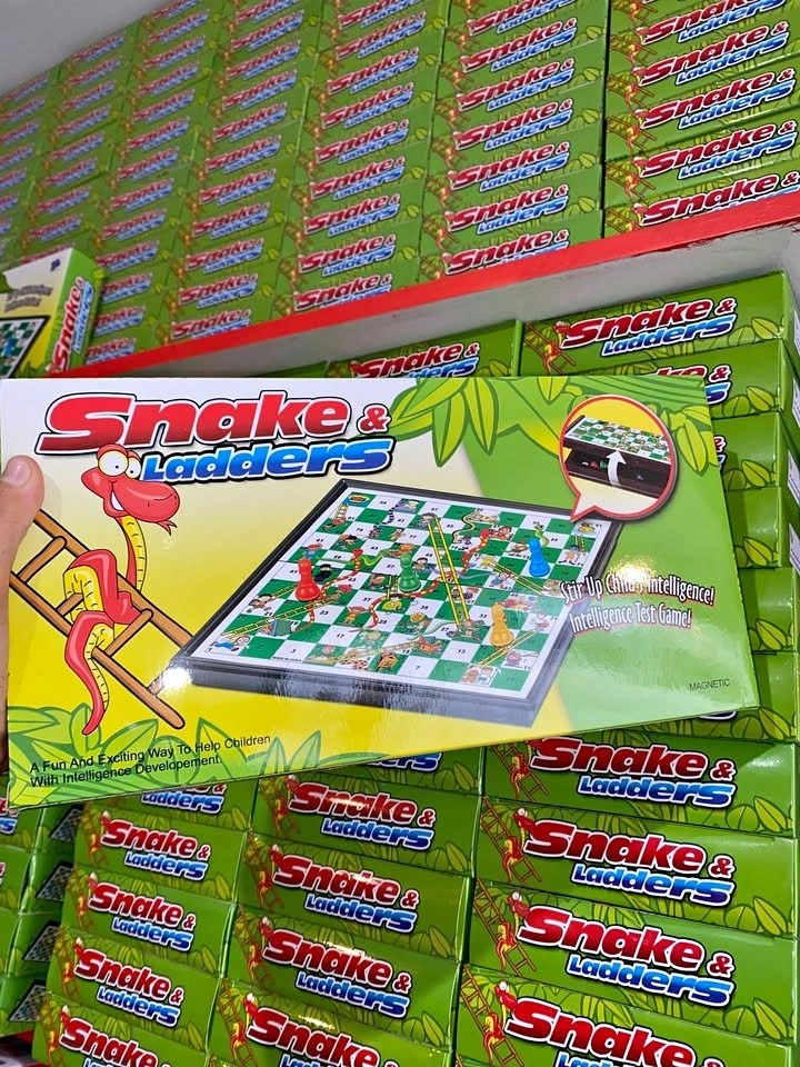 SNAKE AND LADDERS MAGNETIC