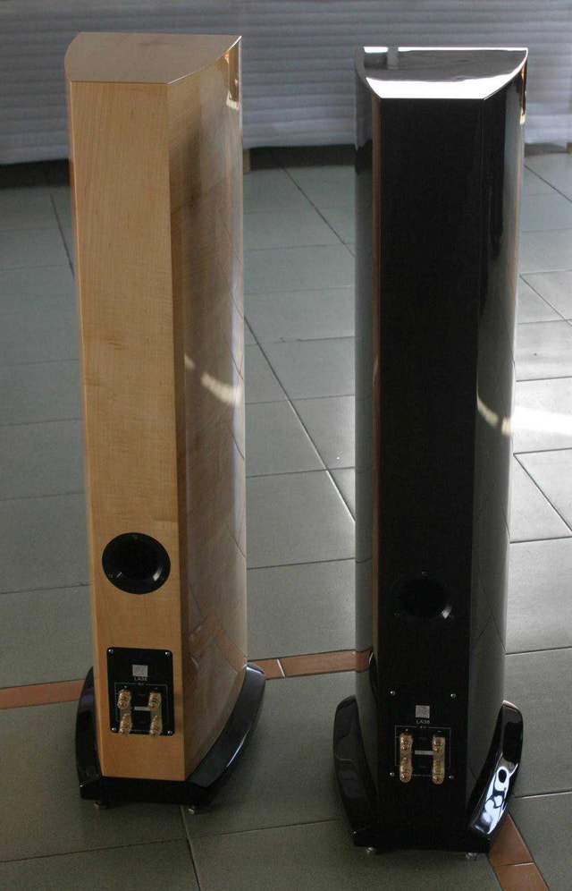 Liberty Acoustic LA38 - photo 3