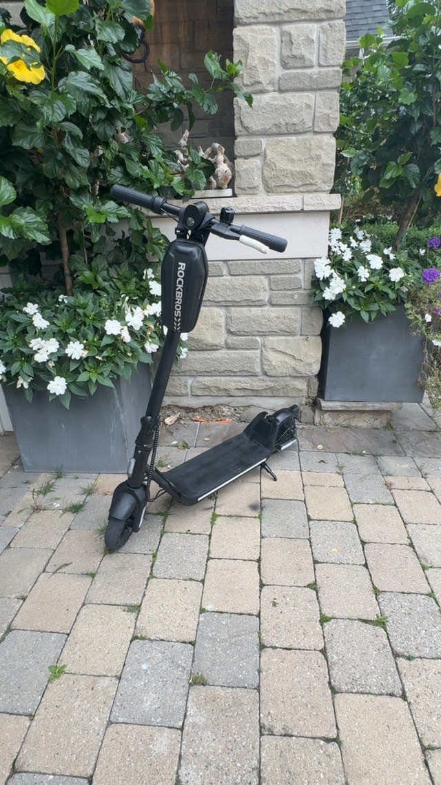 Flash X 6.0 Electric Scooter
