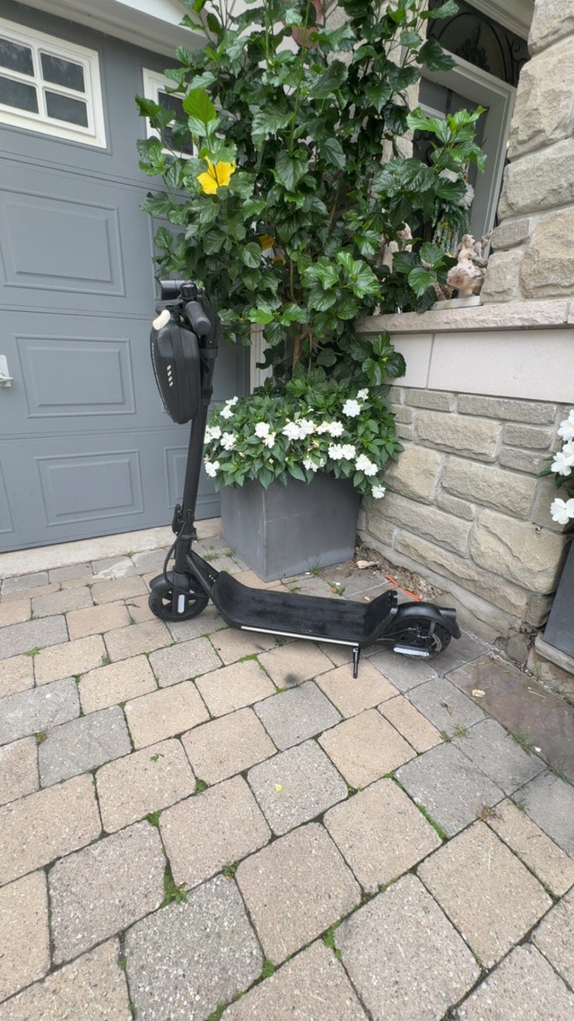 Flash X 6.0 Electric Scooter - photo 2
