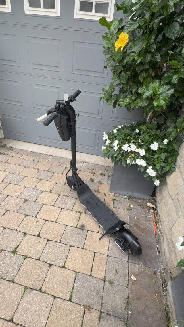 Flash X 6.0 Electric Scooter - photo 3