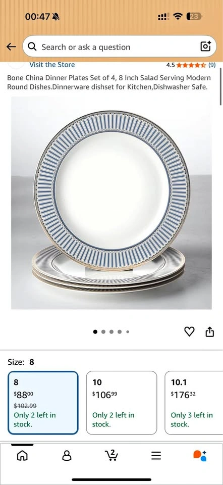 Bone China Dinner Plates Set of 4, 8 Inch, With Gift Box