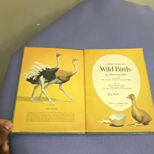 A Child's Book of Wild Birds Hardcover Illustrated by Gus Rudisi - photo 3