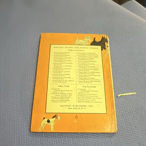 A Child’s Book for Dogs