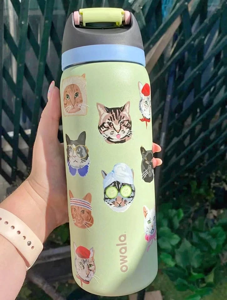 New Owala FreeSip Cat Collage 32oz Bottle