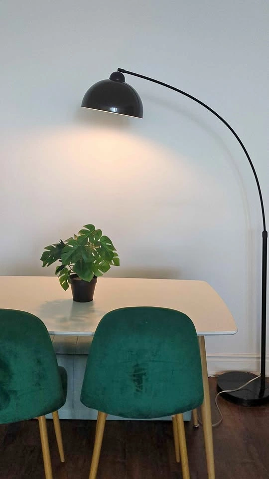 Black Arched Floor Lamp