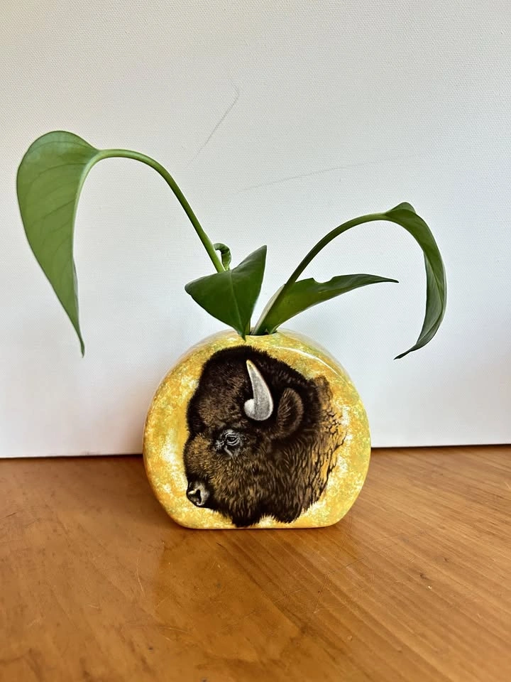 Ceramic vase with bison portrait