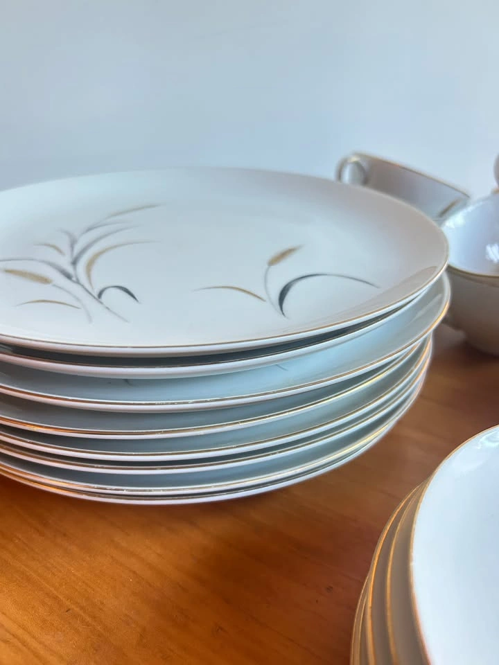 MCM Eternal Harvest 32 piece china set - photo 3