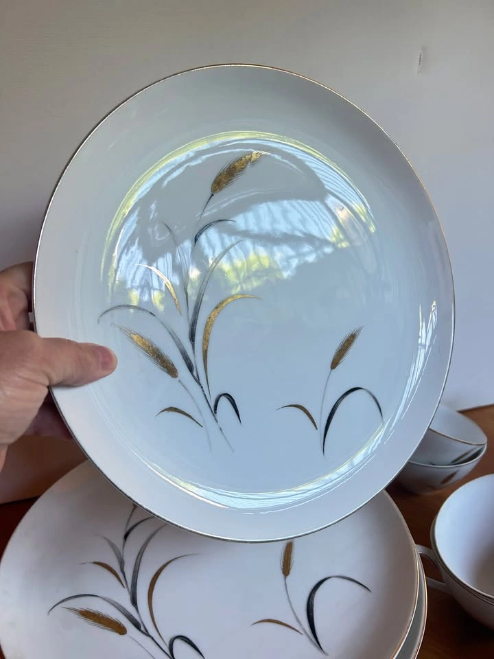 MCM Eternal Harvest 32 piece china set - photo 4