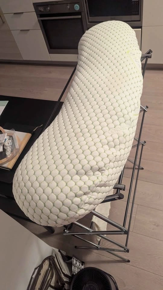 Pregnancy Body Pillow - FREE - photo 2