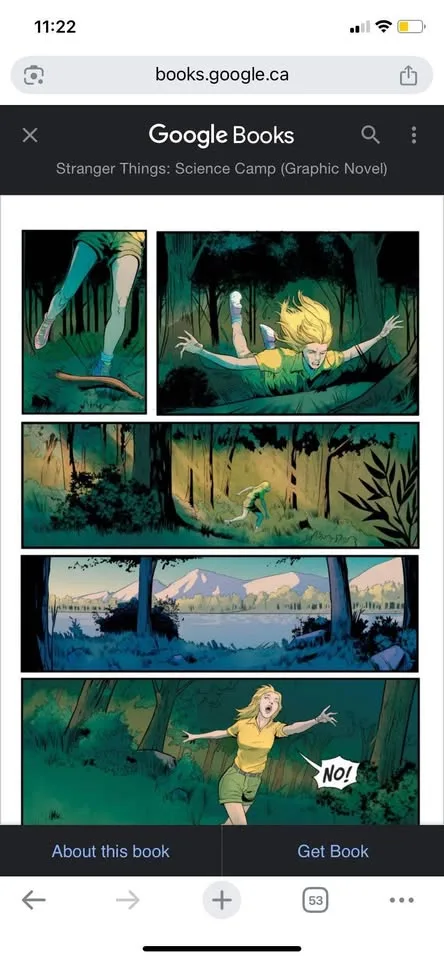 Stranger Things Graphic Novels - like new image indicator(3)