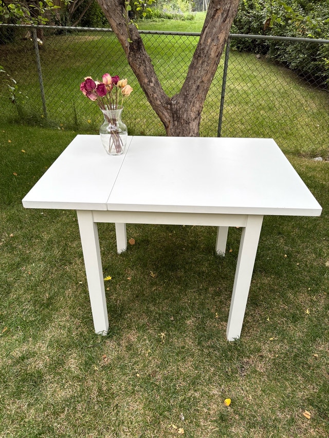 IKEA Drop-leaf table - photo 2
