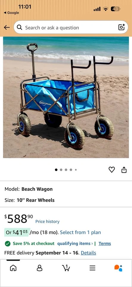 Beach wagon - photo 5