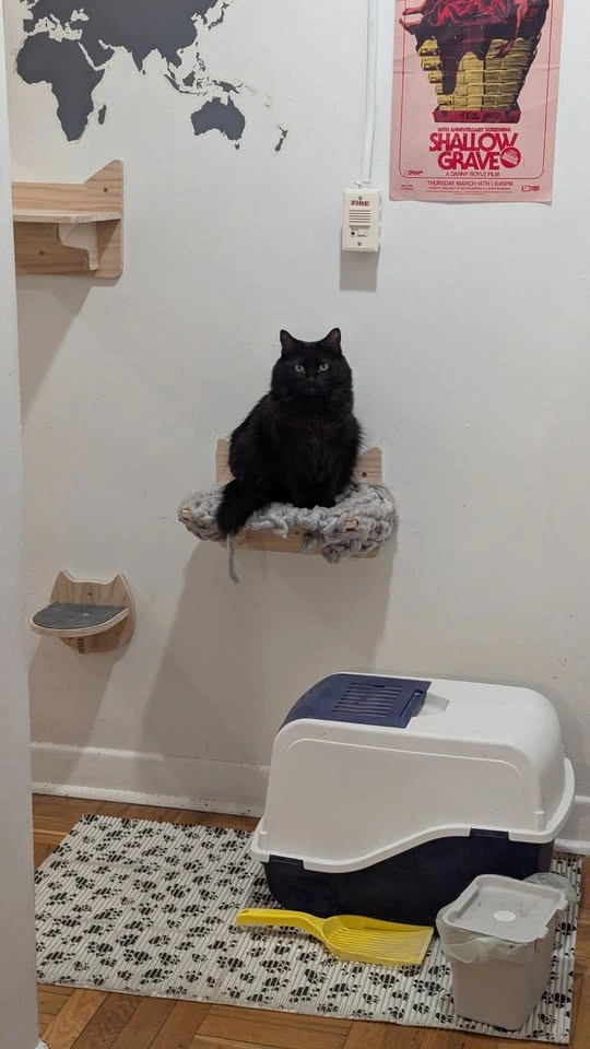Wooden Cat Shelves and Scratching Posts - photo 4