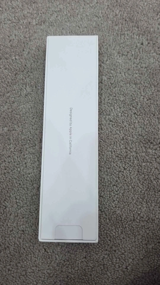 APPLE PENCIL - photo 3