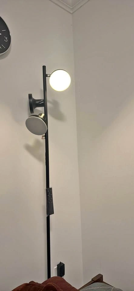 Black Dual Head Floor Lamp
