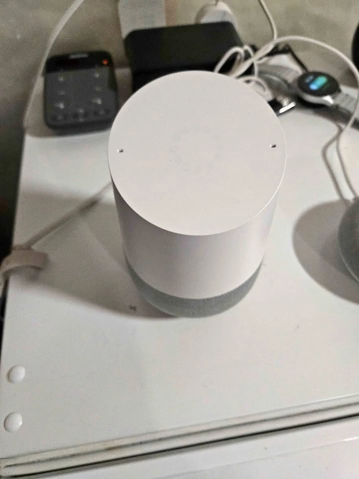 Google Home & Google Home Mini Smart Speaker Bundle