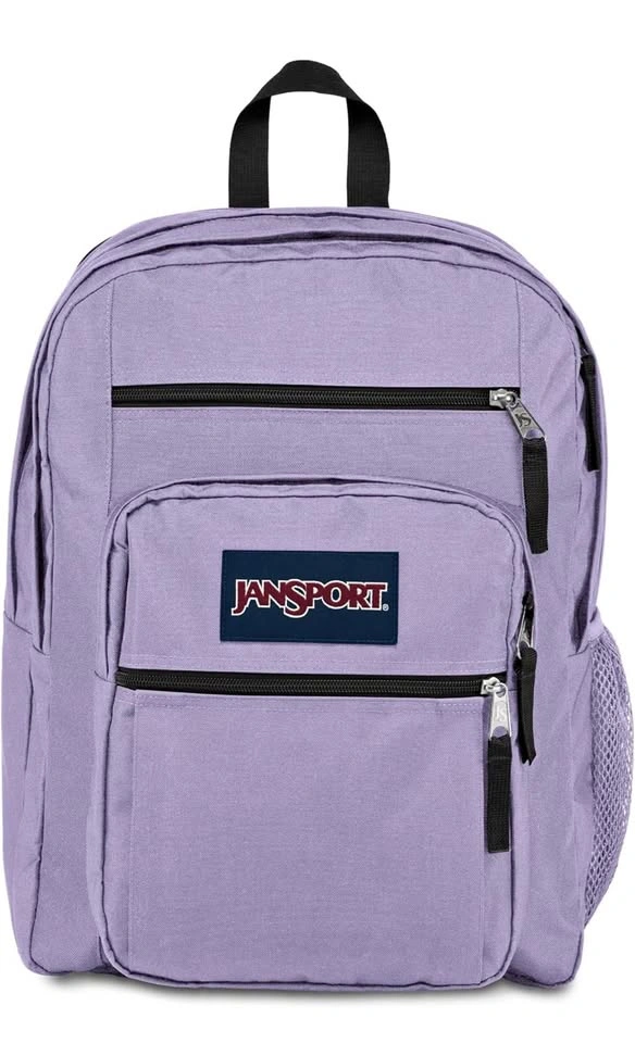 JanSport Laptop Backpack (New with tags) - Lilac