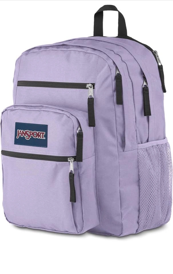 JanSport Laptop Backpack (New with tags) - Lilac - photo 2