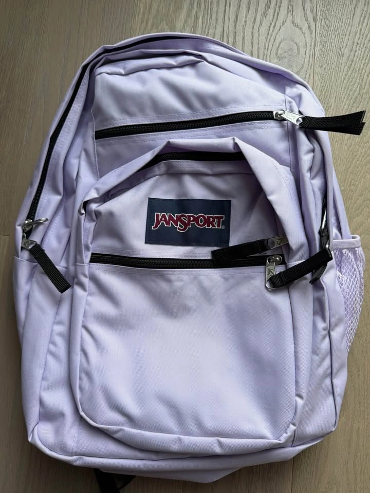 JanSport Laptop Backpack (New with tags) - Lilac - photo 3
