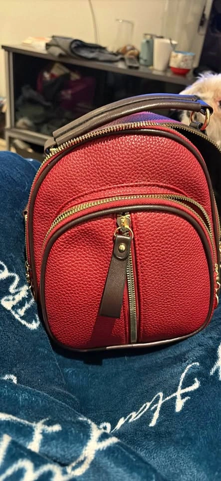 Small backpack