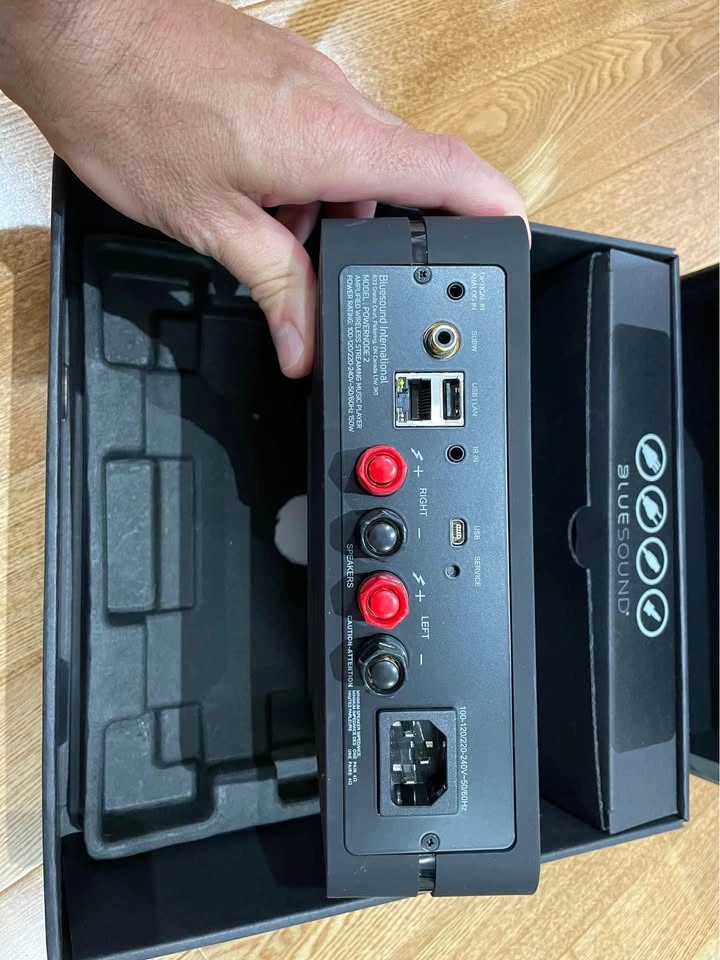 BlueSound PowerNode 2 Amplifier - photo 4