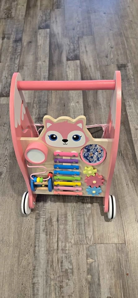 Activity Push Toy