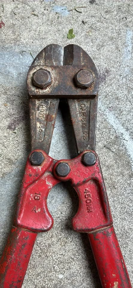 Bolt Cutters - photo 4