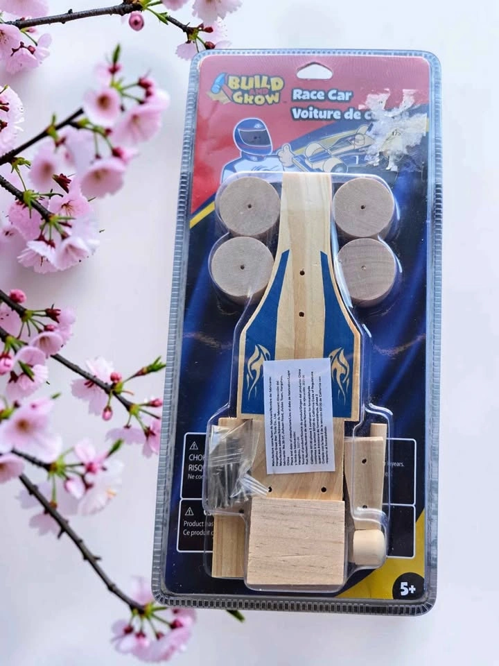 Build & Grow Wooden Race Car Kit Kids DIY Craft Project 2010