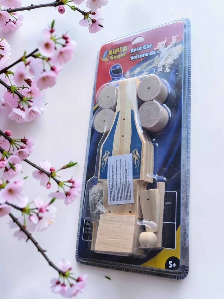 Build & Grow Wooden Race Car Kit Kids DIY Craft Project 2010 - photo 4