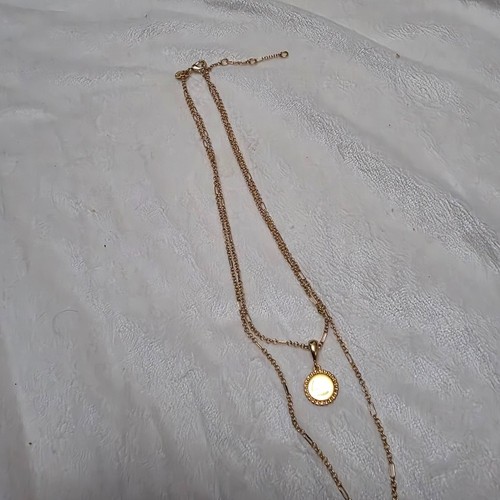 Chic 2-in-1 Layered Necklace | Leopard Print Pendant & Gold Coin - photo 3