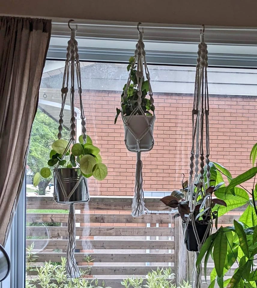 Macrame plant hangers