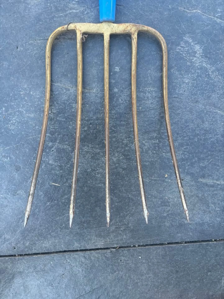 Pro Grade 4-Tine Manure Fork / Pitchfork - Like New - photo 2