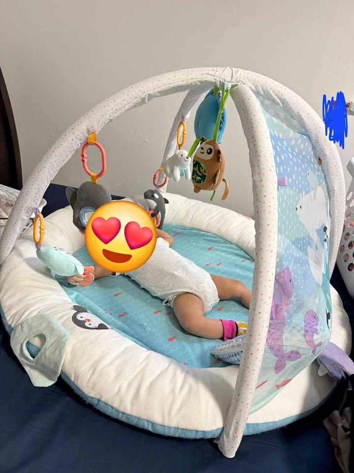 Fisher-Price Perfect Sense Deluxe Gym