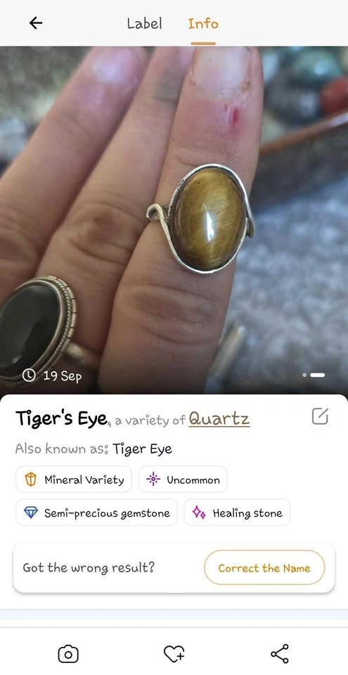 Tiger's Eye Quartz Ring