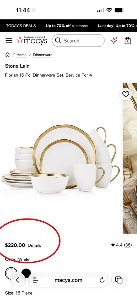 NEW Stone Lain Florian 16-Piece Porcelain Dinnerware Set - photo 5