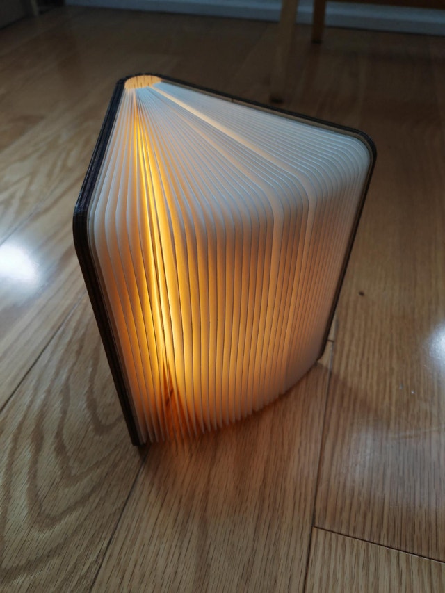 USB-C Rechargeable Book Lamp - Folding Book Light 6 Inch - photo 3