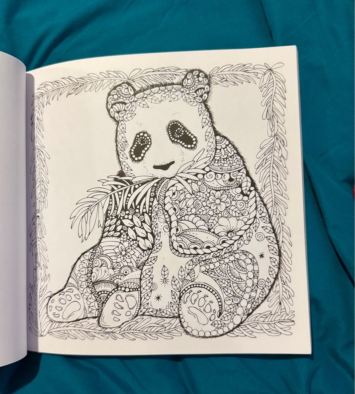 Adult Coloring Book - photo 3