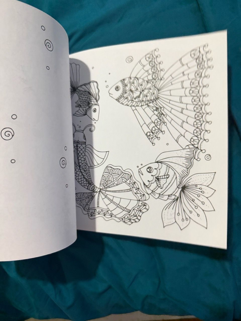 Adult Coloring Book - photo 5