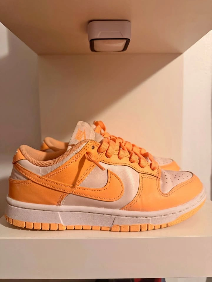 nike dunks