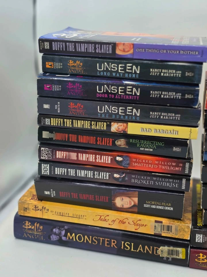 Buffy the Vampire Slayer and Angel Book Lot - 22 Books - photo 2