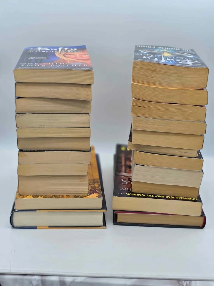 Buffy the Vampire Slayer and Angel Book Lot - 22 Books - photo 4