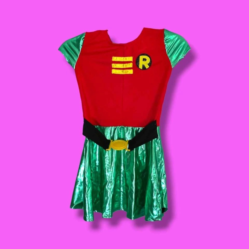 DC Comics Robin Child Halloween Dress Costume Small 4 - 6 - photo 2