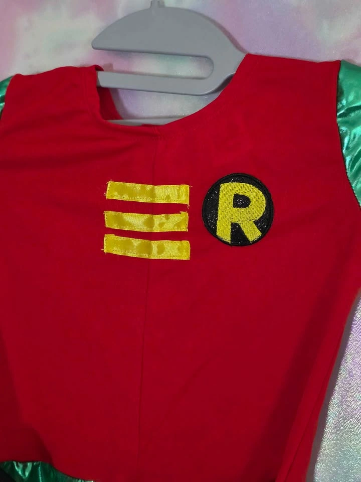 DC Comics Robin Child Halloween Dress Costume Small 4 - 6 - photo 4