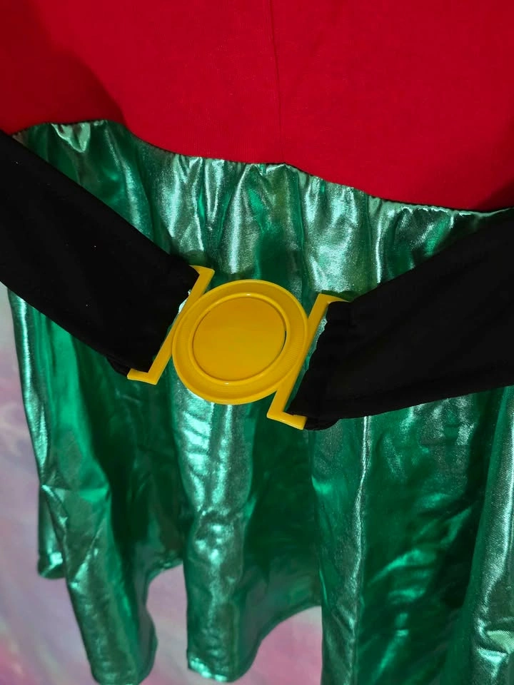 DC Comics Robin Child Halloween Dress Costume Small 4 - 6 - photo 5