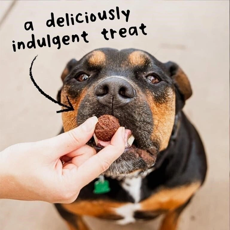 Cloud Star Meatballs Dog Treats, Italian beef recipe, 397g - photo 3