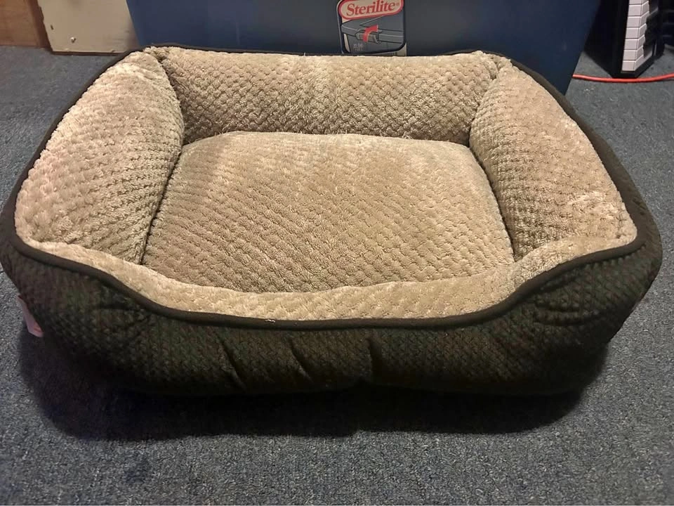 Miguel Medium Small Dog Bed with Washable Removable Cover