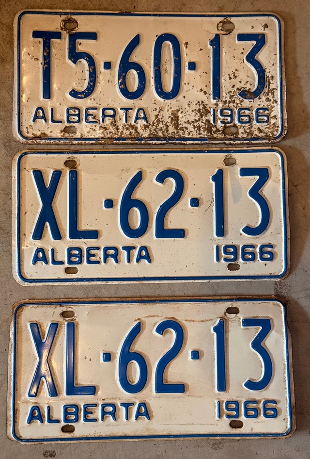 vintage Alberta Plates - 1960’s - photo 5