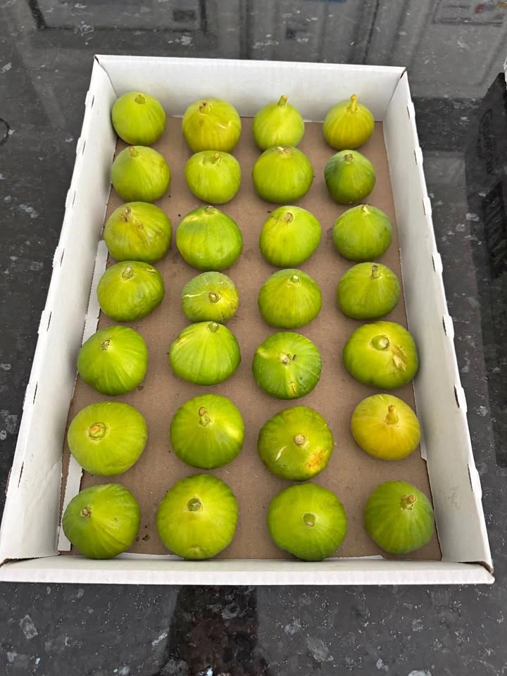 28 Fresh & Sweet Honey Figs