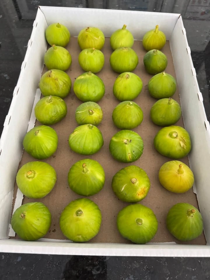 28 Fresh & Sweet Honey Figs - photo 2